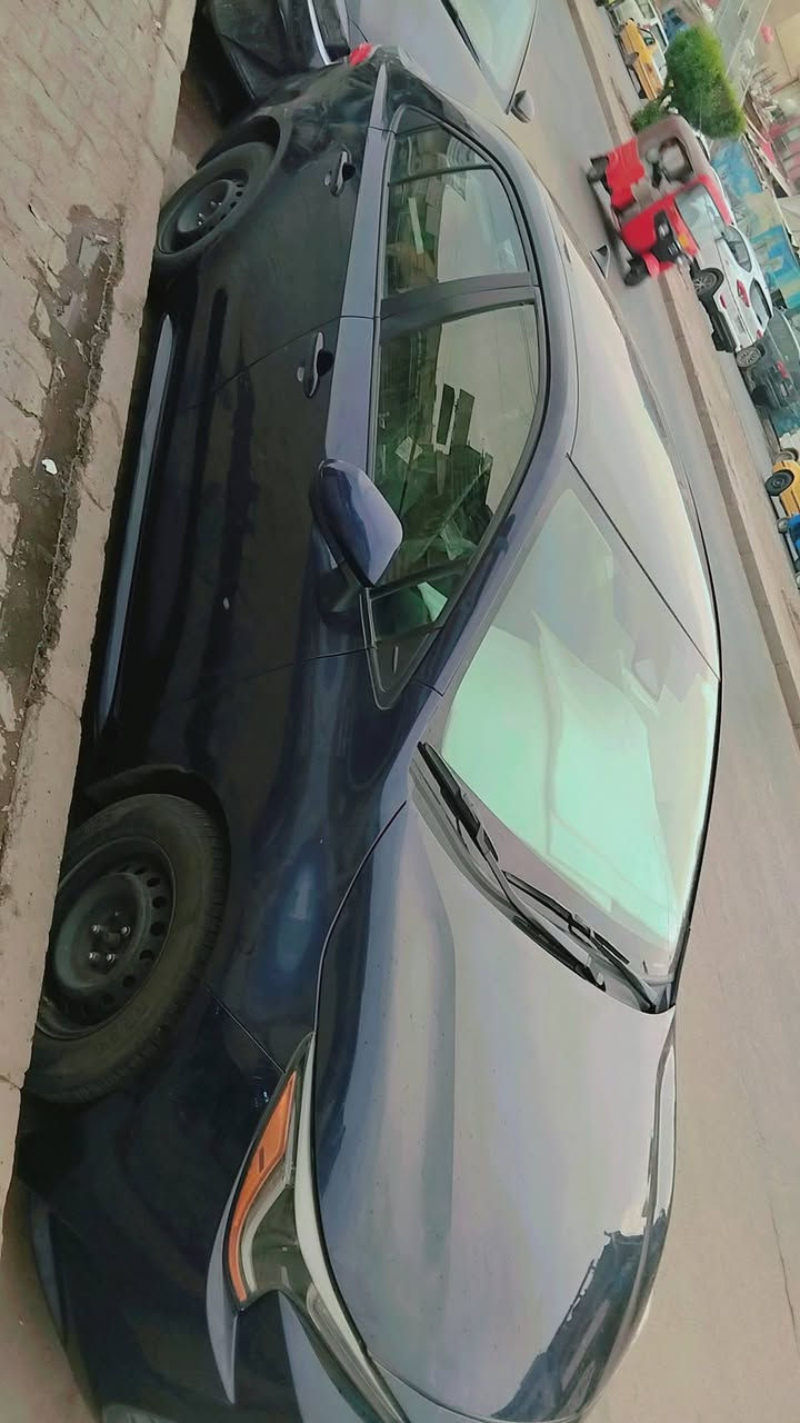 كولا • ٢٠٢٣