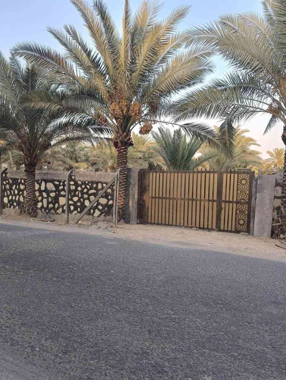 *🔥 دونم للبيع - فرصة استثمارية وسكنية مميزة 🔥*

*📍 الموقع:* مدخل الإمام بكر - طريق إبراهيم الخليل - بعد مرقد إبراهيم الخليل بمسافة قليلة - الحلة

*📐 المواصفات:*
- المساحة: دونم كامل (2500 م²)
- الواجهة: 40 متر على شارع تبليط مباشر
- الطابو: زراعي سند 25 تحويل مباشر مضمون
- مسيج بالكامل + مزروع نخيل وحمضيات
- يصلح: مزرعة، سكن، مزرعة ترفيهية، استراحة
- الموقع جداً هادئ وراقي وعلى تبليط

*💧 الخدمات:*
- موجود مي سقي + مي إسالة
- كهرباء واصلة
- شارع تبليط لحد القطعة

*📞 للاستفسار:*
اتصال: *************
واتساب: *************
