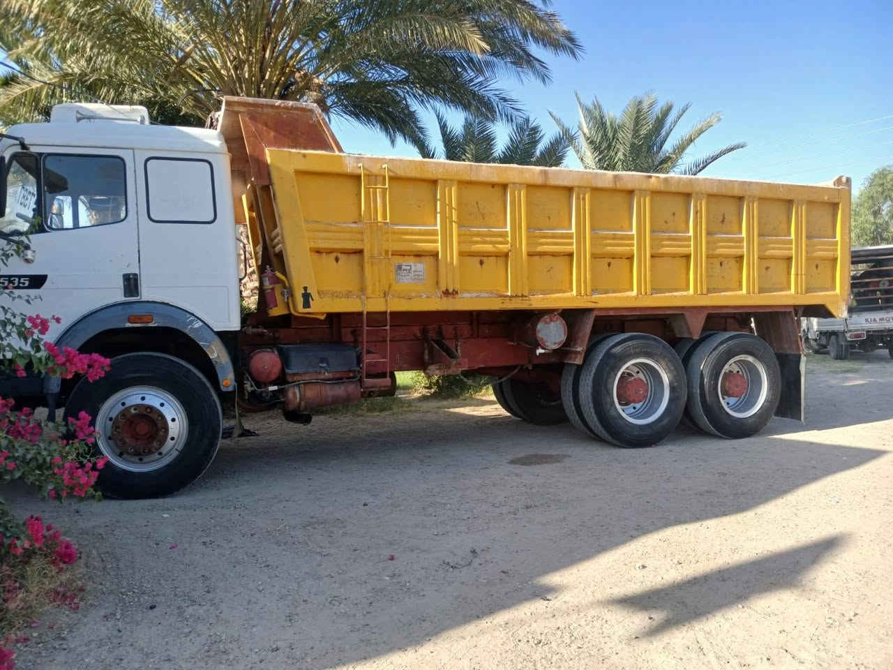 مراوس • للبيع • واتساب