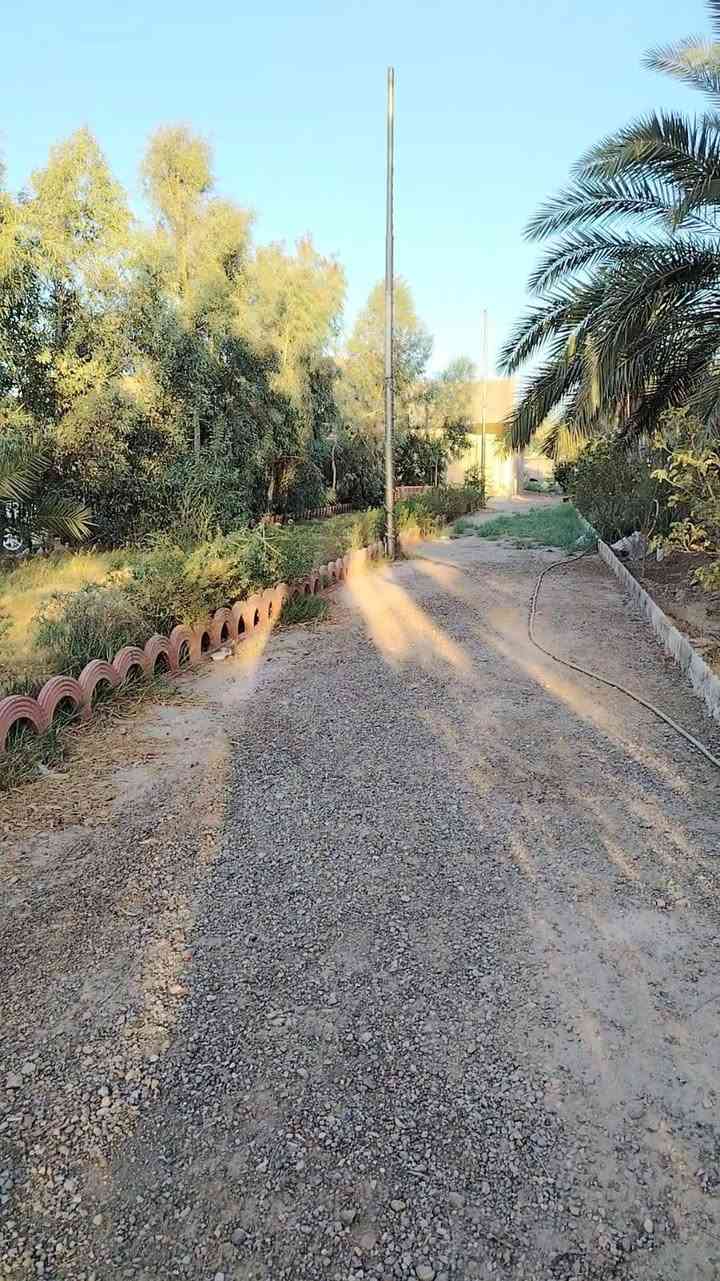 السلام عليكم  بيت لل بيع موقعه جسر الفرنسي 
اكثر من نص دونم ١٥٠٠م قبل جسر الفرنسي على يسار يم ملعب تارتار  مقابل الولدايه البيت بناء جديد كامل من كل النواحي كهرباء ماي البيت  ١٩٠م  السعر ١٥٠ وبيه مجال على شارع العام 
(ملاحظه البيت عادي للمراوس لكن فقط داخل العبيدي) 
 صاحب البيت  الحاج ابو زياد الرديني   
رقم صاحب البيت ***********
