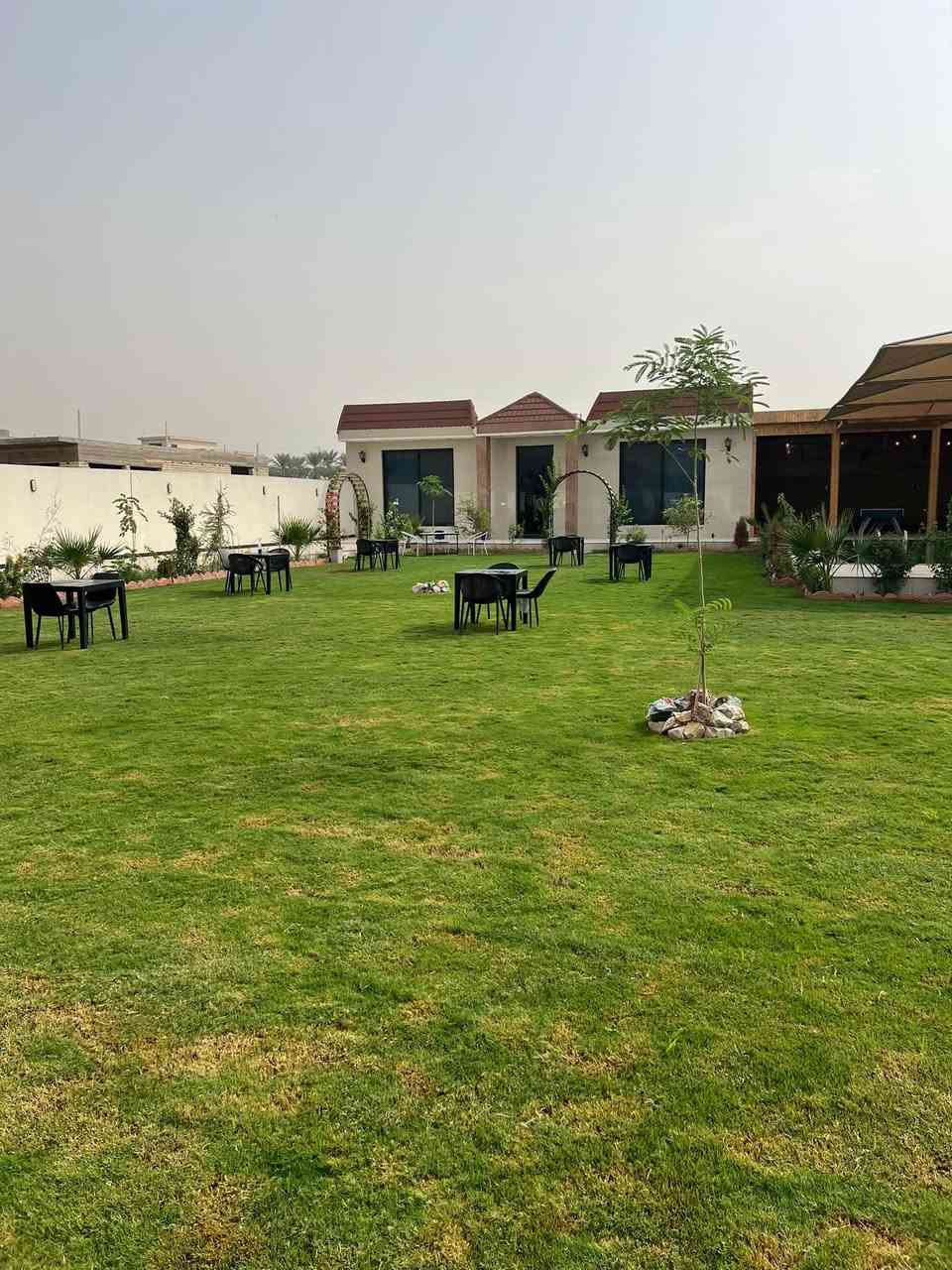 بوعيثه • الخميس مسائي