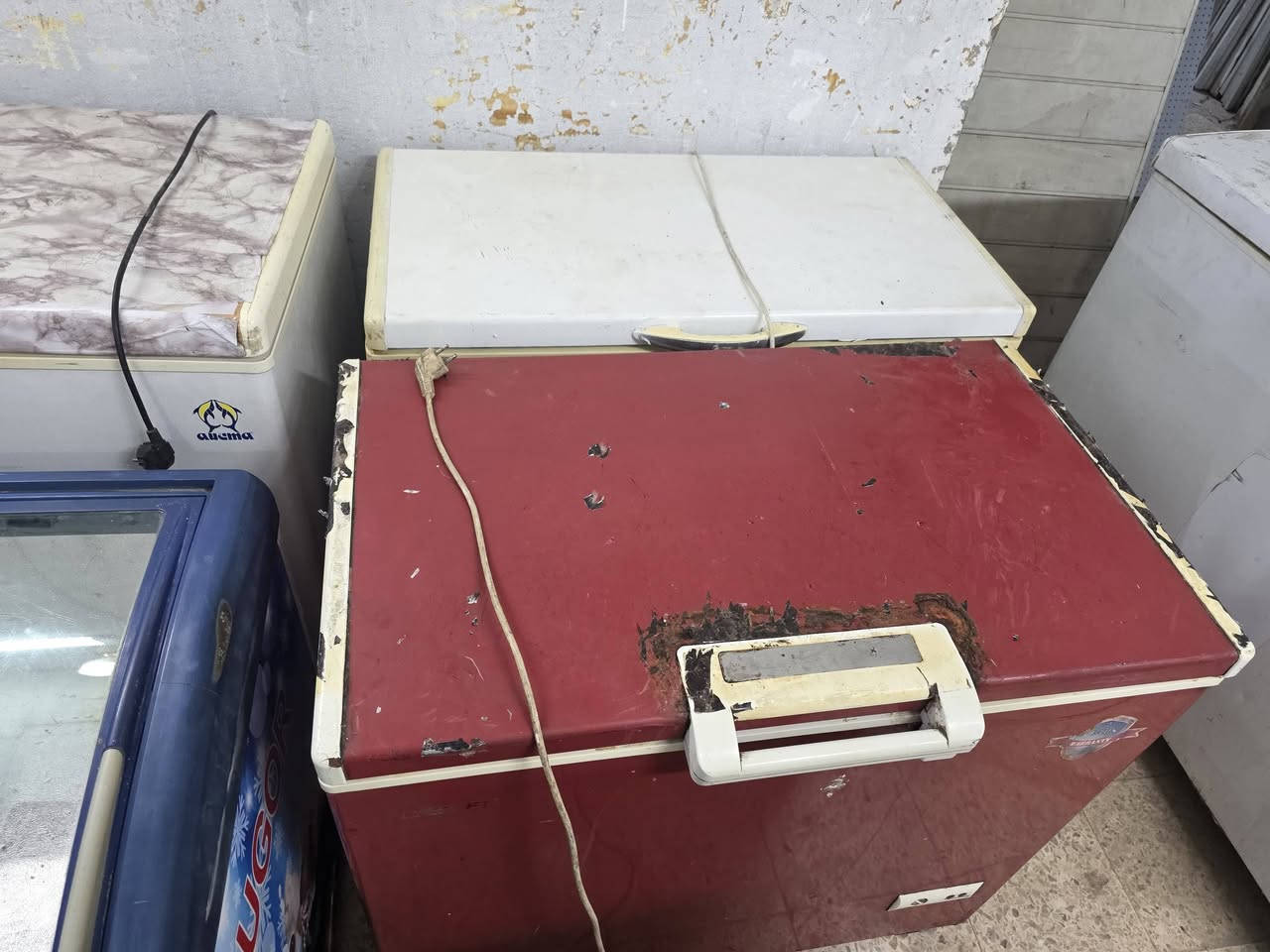مجمدات • العمارة ميسان • شارع ابو شاكر