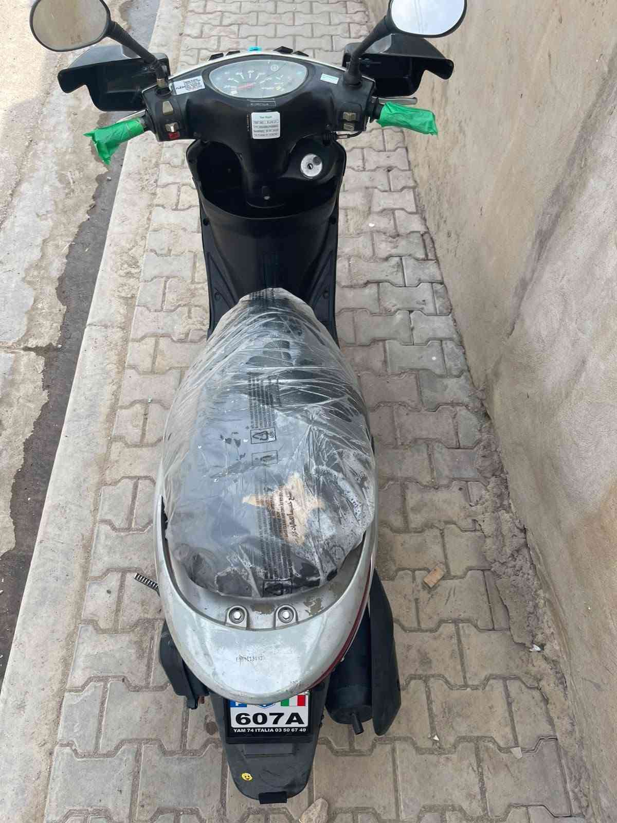 فريز • نضافه فول • بلاديه
