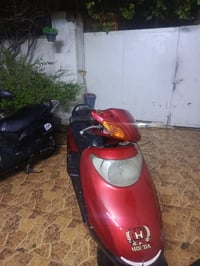 سبيسي • ماليزي • نواقص قليلة