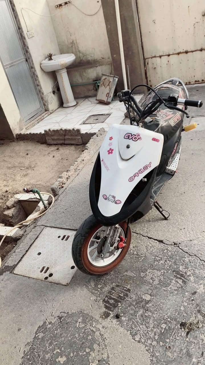 ماكس • ٤٩ • سلف
