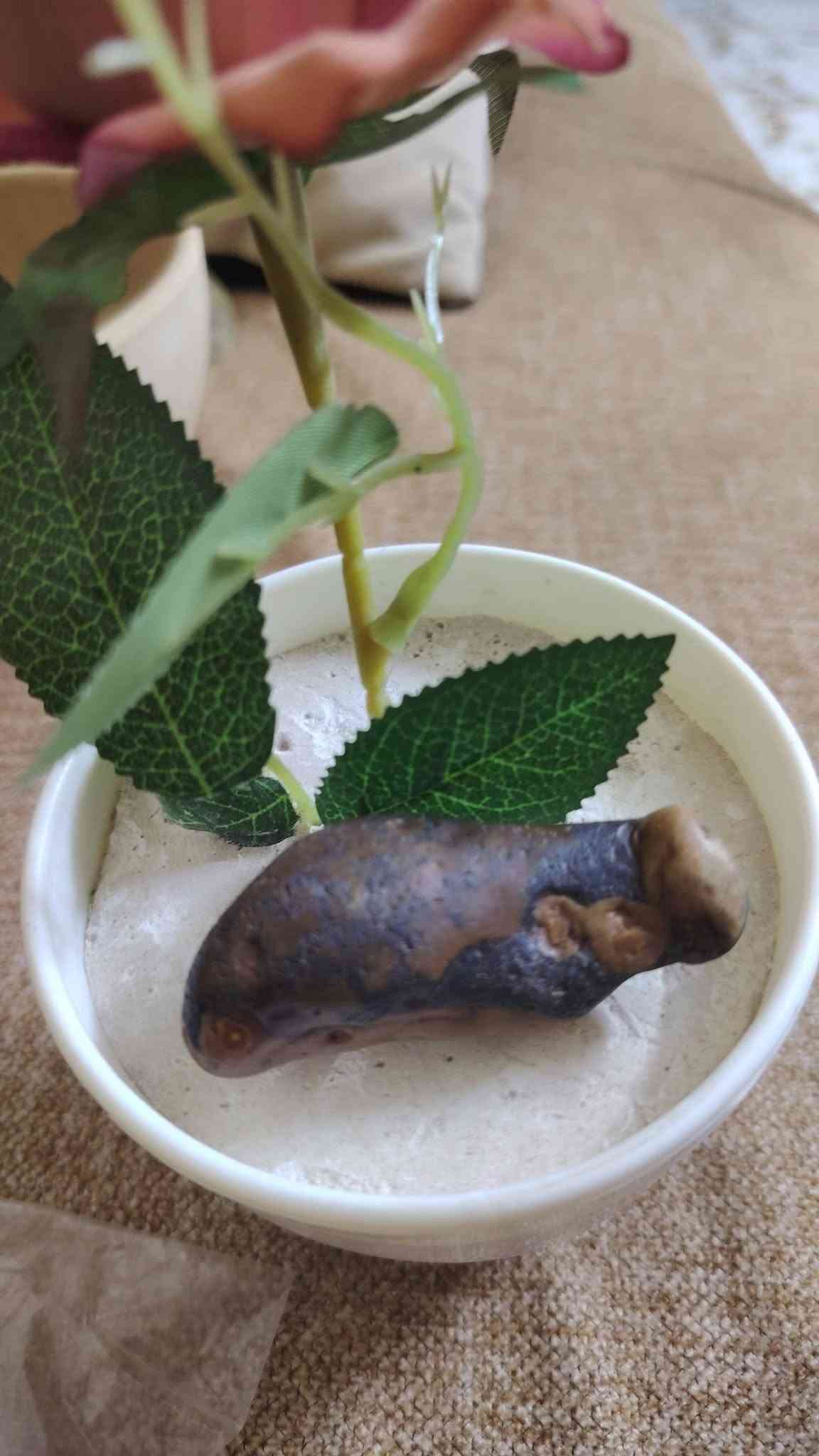 السلام عليكم لي اصحاب الخبره والي يعرف وينطي قيمن هذا الحجر للبيع علطتنيات ماكو داعي للشرح خاف تكولون يبالغ متع نضرك وراح تعرف شنو طاقت هذا الحجر فقط الي يعرف قمتن يتواص احترامي للجميع
