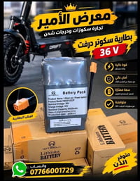 شاحن سكوتر • ٣٦ فولت • حماية شحن زائد