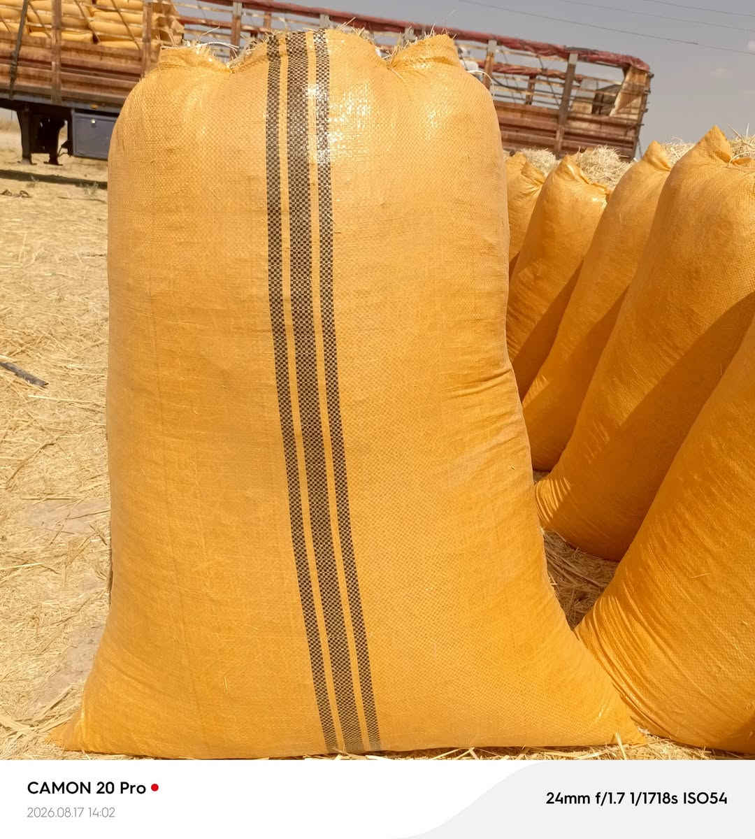 يوجد تبن البيع كمية مفتوحه السعر مناسب سعر الزواج 2500  / ***********
