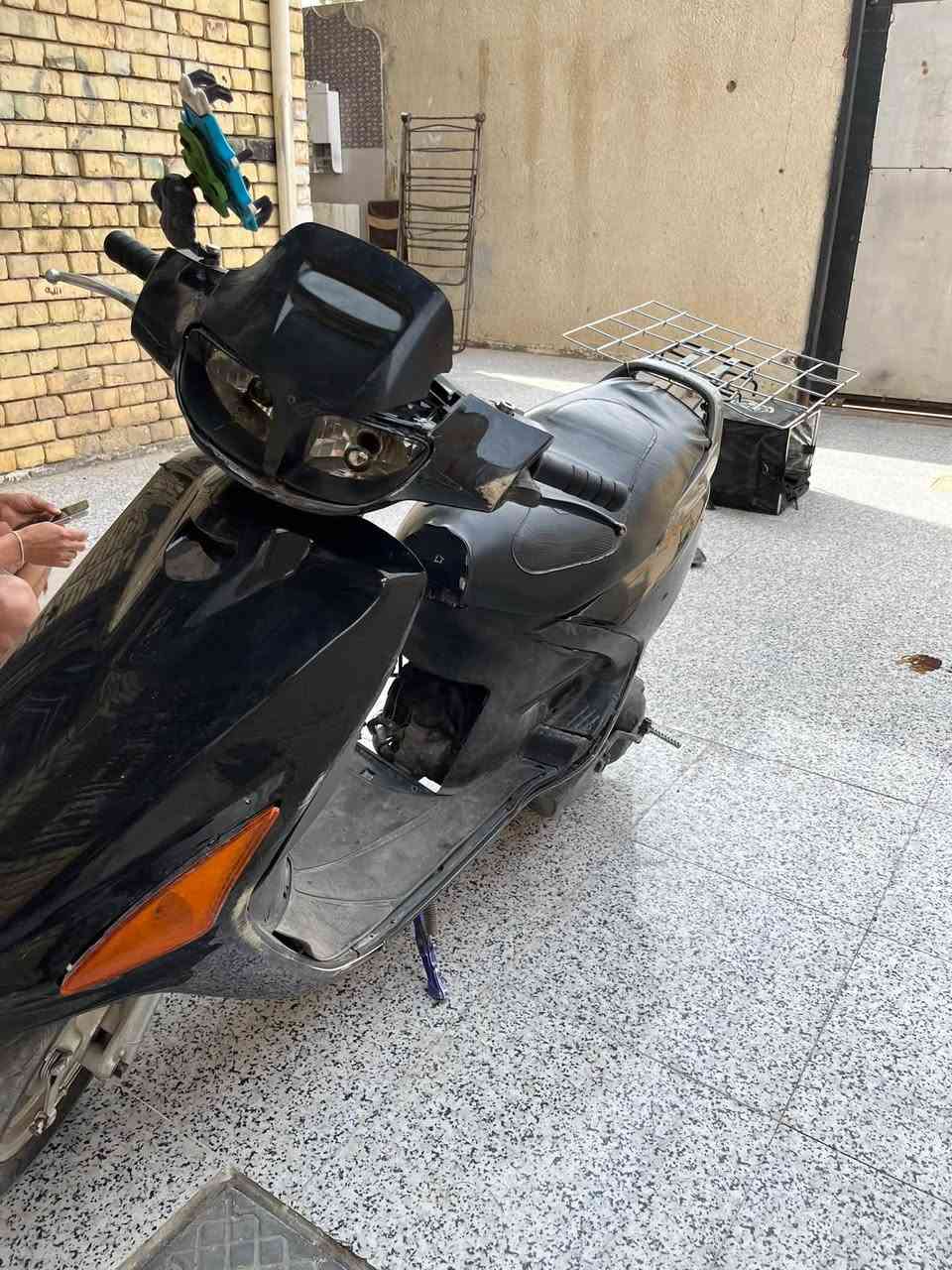 فراشه • شغاله • طاكه الجبنه