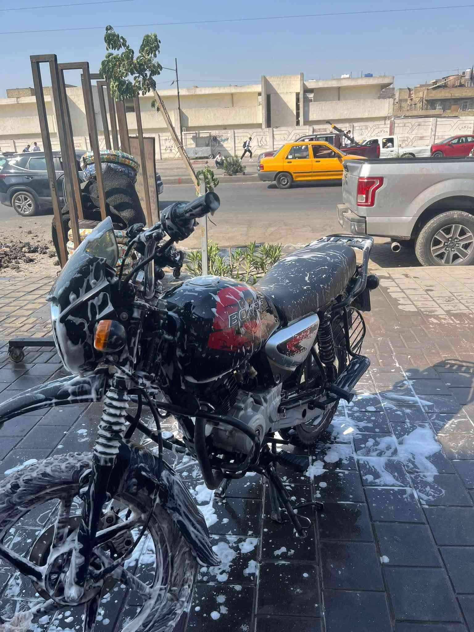 بوكسر جبلي • ٢٠٢٣ • رقم وسنوية