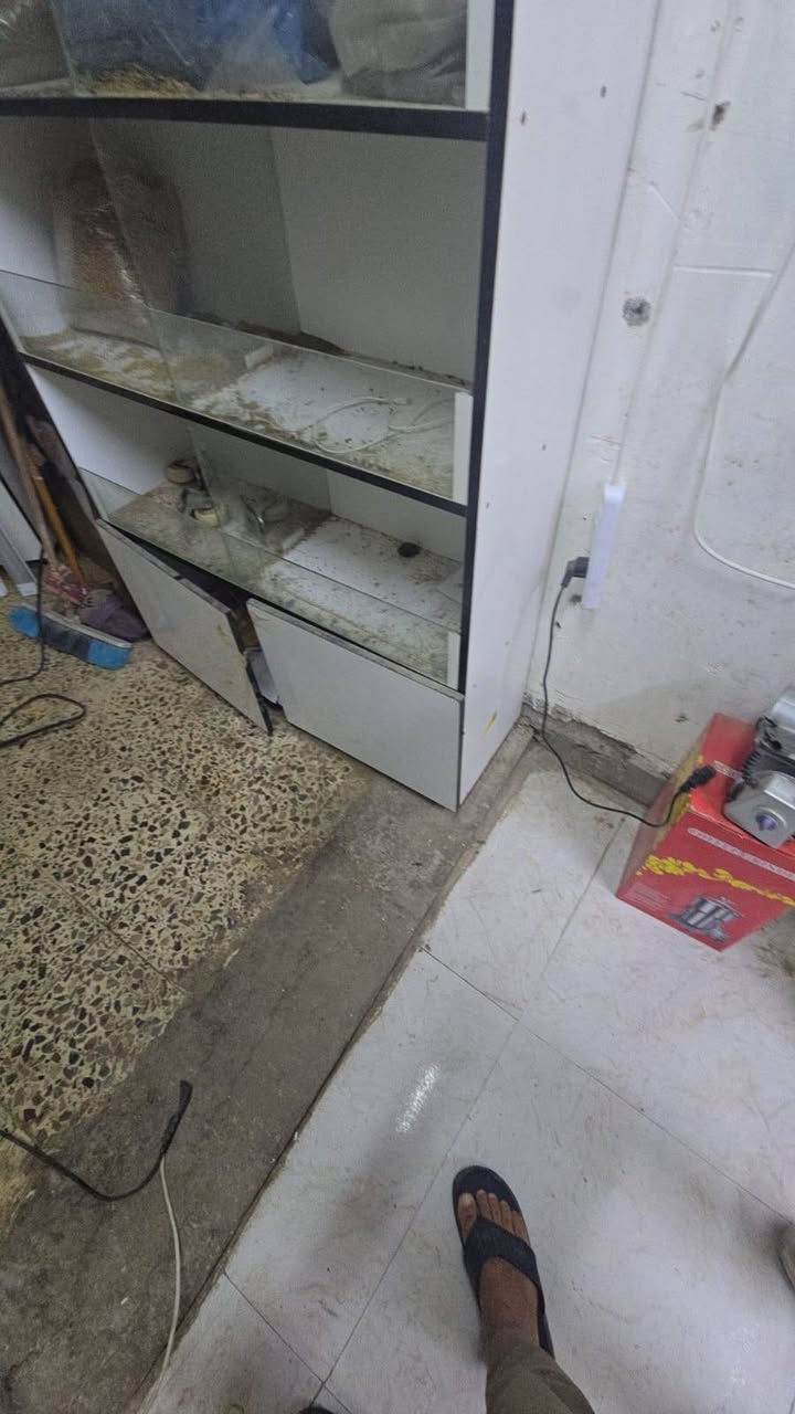 رفوف عرض • ٦ قطع • سعر مناسب