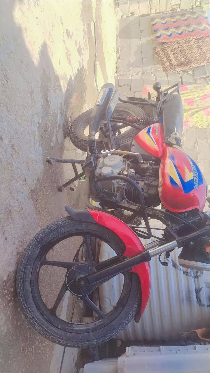 بوكسر • ٢٠١٩ • نضيفه