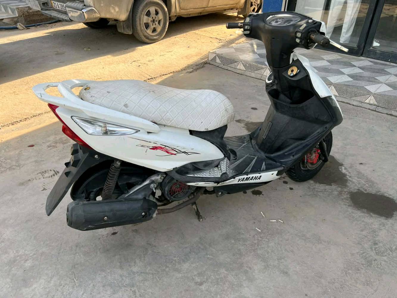 ثعلب • جديد • البوعيثه