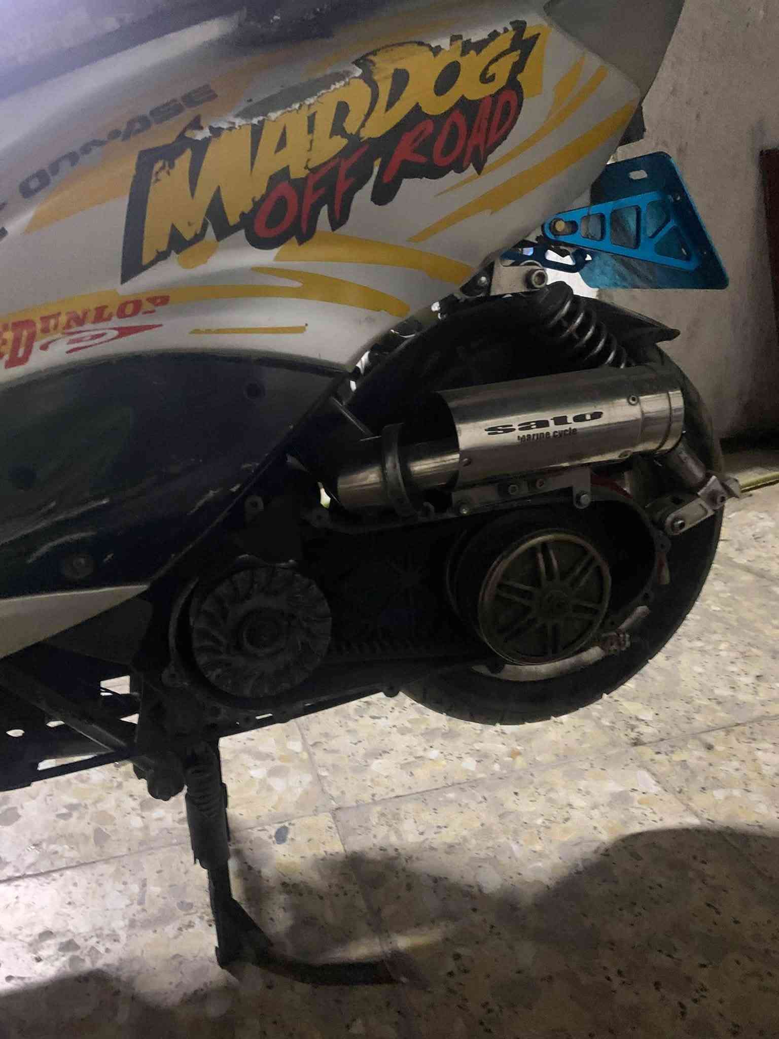 سكنس نثيه • ماكس قچمه • نظيفه