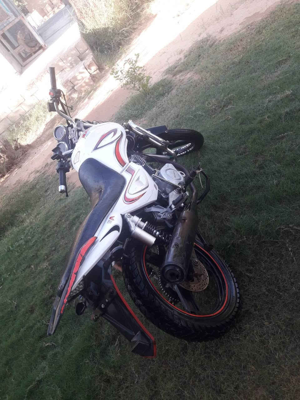 سنكي • ١٥٠ • موديل ٢٠١٩