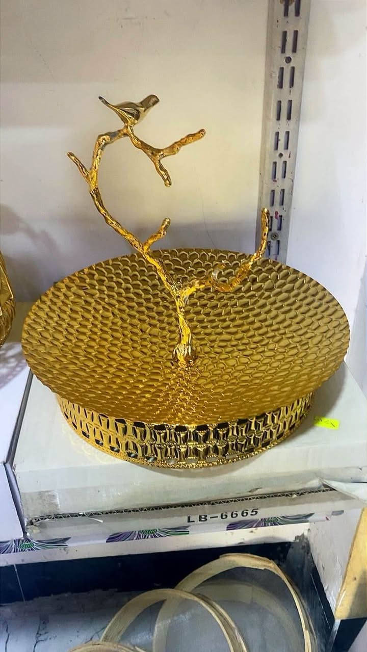 بيت الأسرة • مضيفه مذهب • رمادي شارع عشرين