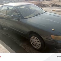 شيزر • ١٩٩٤ • الغراف