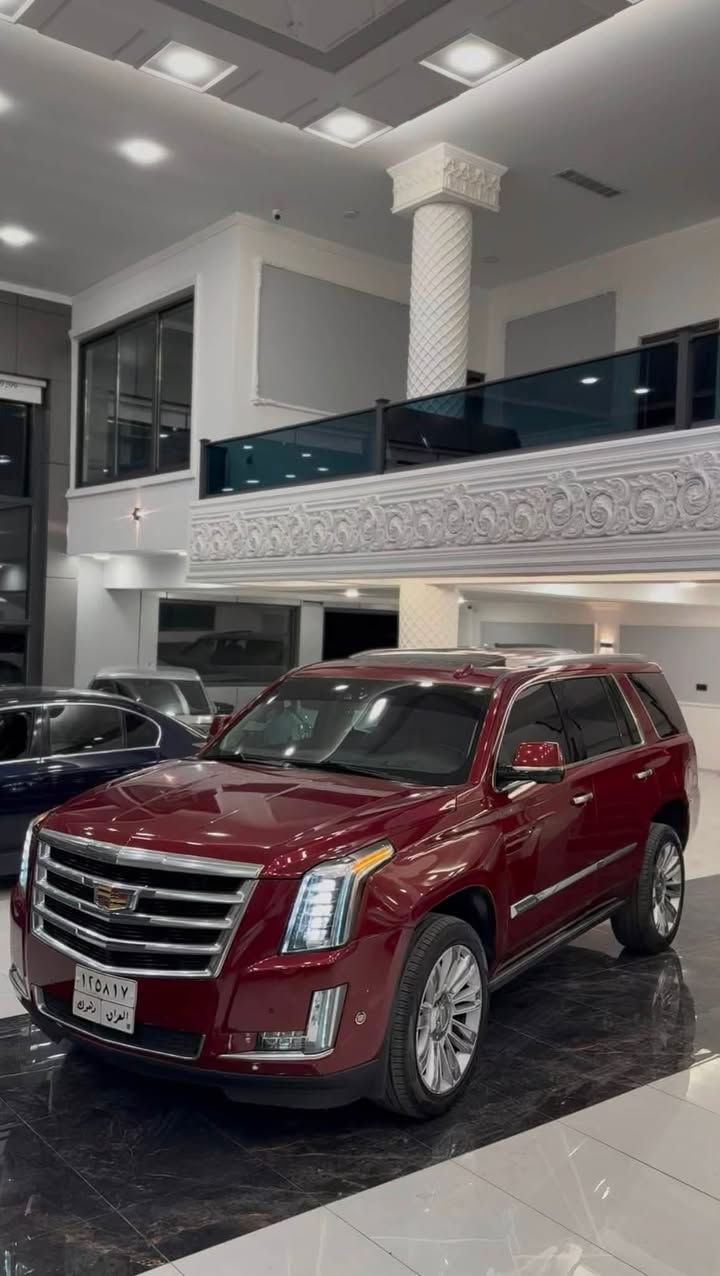 cadillac escalade 2017
خليجي فول فول من الخير
صبخ ٤ قطع بدون شاصي 
ارباك سكان و برده سيستم 
سيارة تبريد مركزي 
دوسات كهرباي 
تبريد مركزي 
٤كشنات تدفئه و تبريد
سلايد 
كشنات جلد 
داتاشو 
بصمه 
سندوك شفط
فول فول 
داخل مشمشي 
ماشية ١٣٥ كم 
محرك ٨ 
محرك شرط ممفتوح 
سعر٢٤٩ ورقه قفل 
مكاني دهوك
*********** واتس اب كورك
