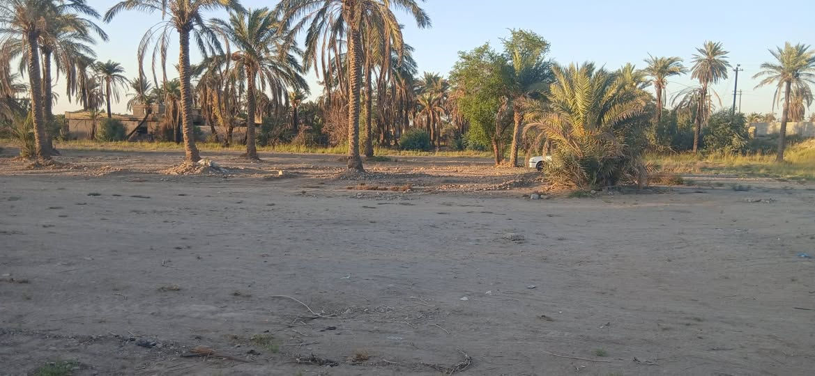سلام وعليكم
عندي دوانم ملك صرف لبيع عنوان طريق بغداد   ديالى منطقه شاعوره تصلح مزارع تبليط مي كهرباء منطقه قريبه على شاطيه ***********
