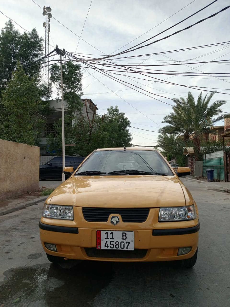 سمند • ٢٠١١ • بدون صبغ