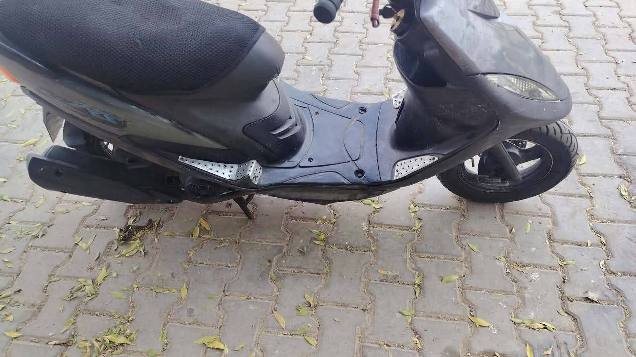مختمه • شغاله • من الطول للطول