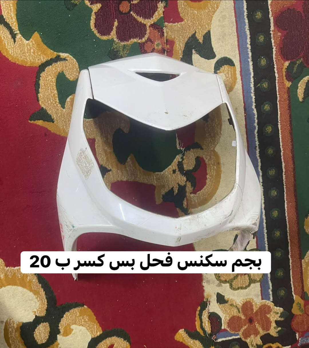 سكنس فحل • اصلي • المشتل