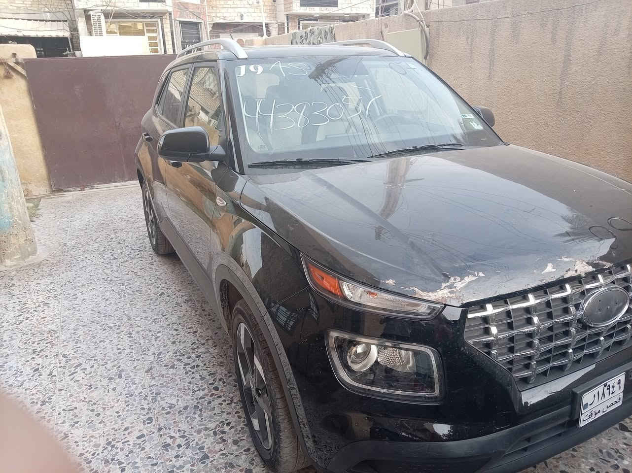 فينو • ٢٠٢٥ • الدورة