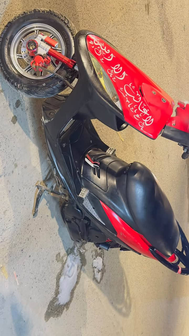ماكس • عدله • ما تنقصها
