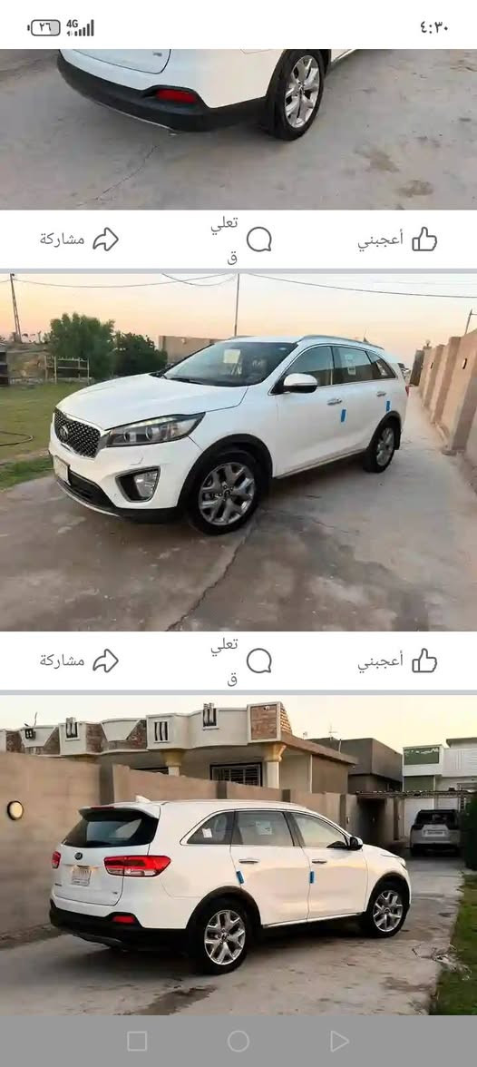 ٢٠١٥ • شكل ١٦ • ٣ قطع صبغ