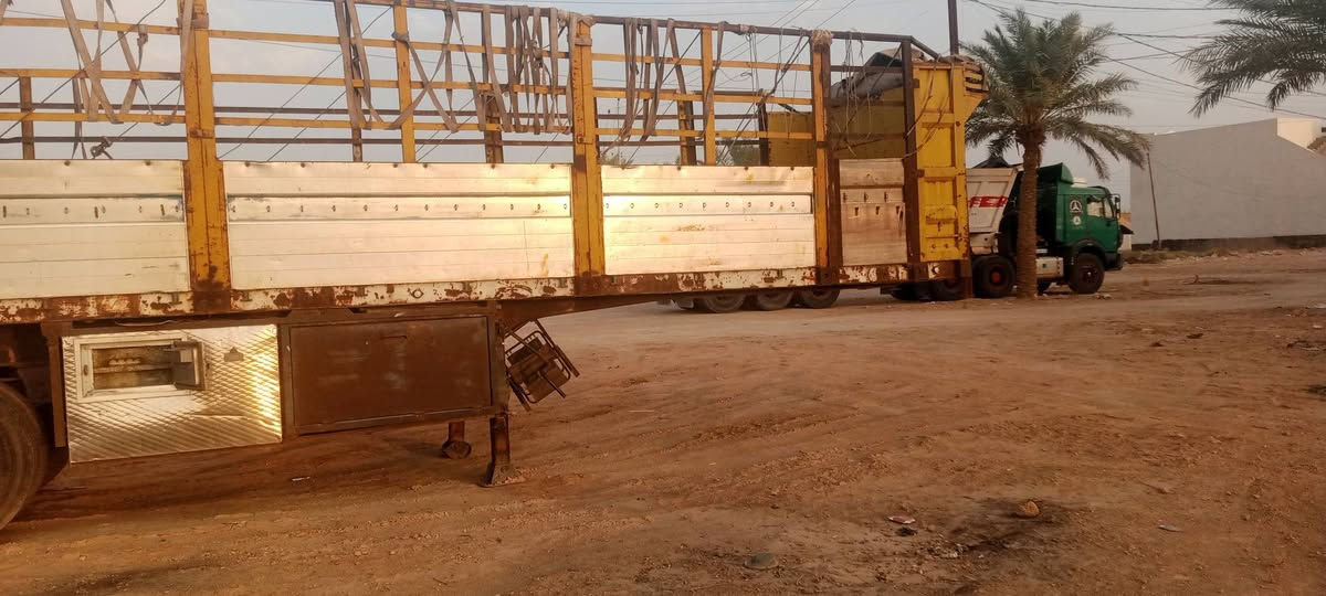 عربانه • اوربيه • طول ٣٠ و١٣