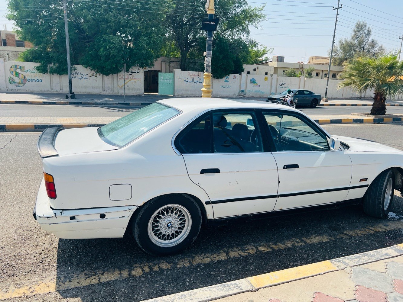 ميسان • راعيها بالبصرة • رقم بغداد