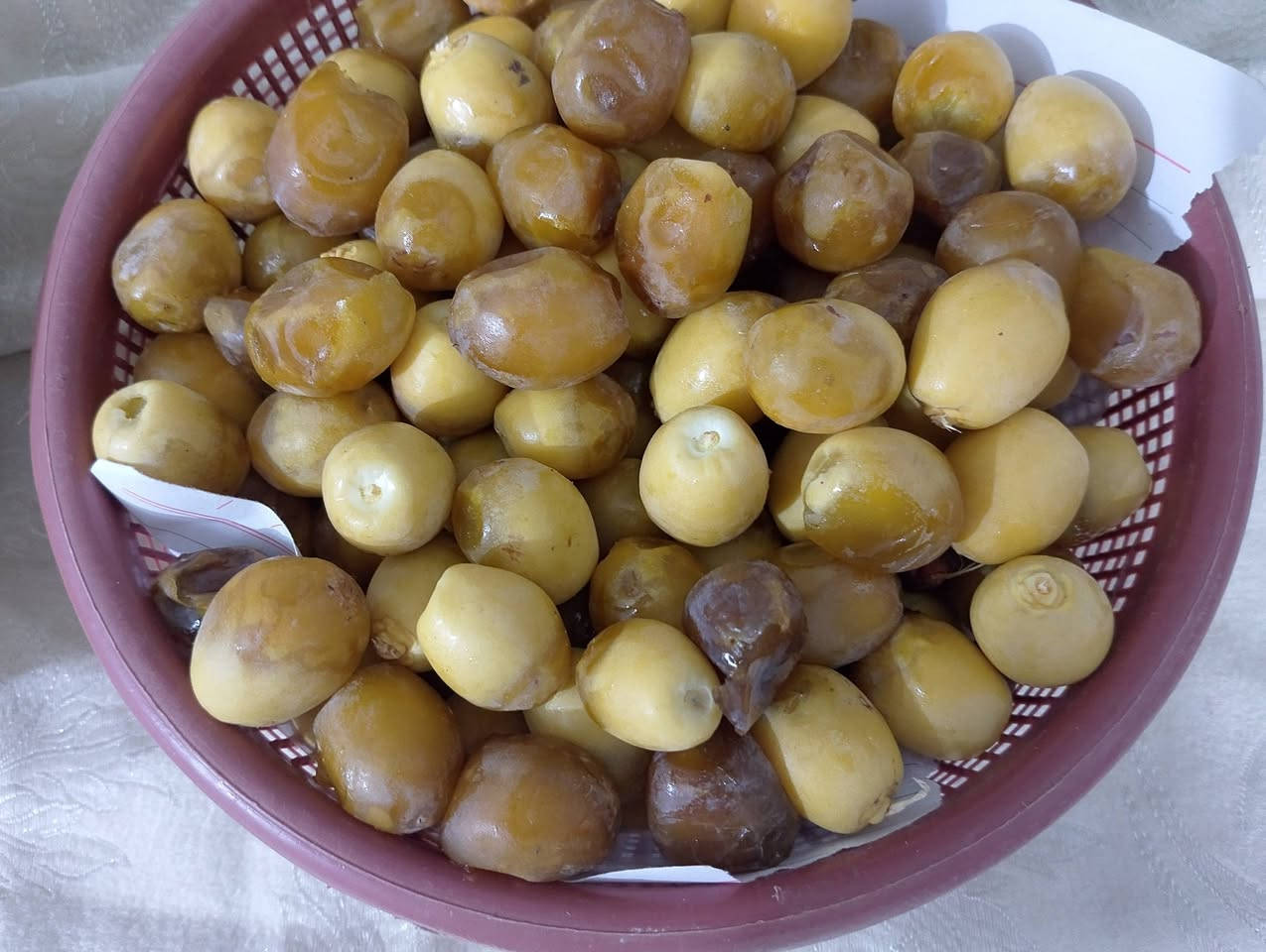تمر حوش • جوزي ونيرسي • درجة أولى