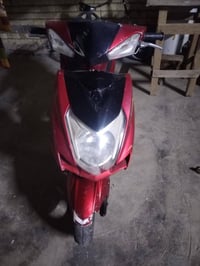 سكنس • ياباني • فحل