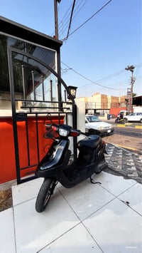 بطة • كفاله • كامل