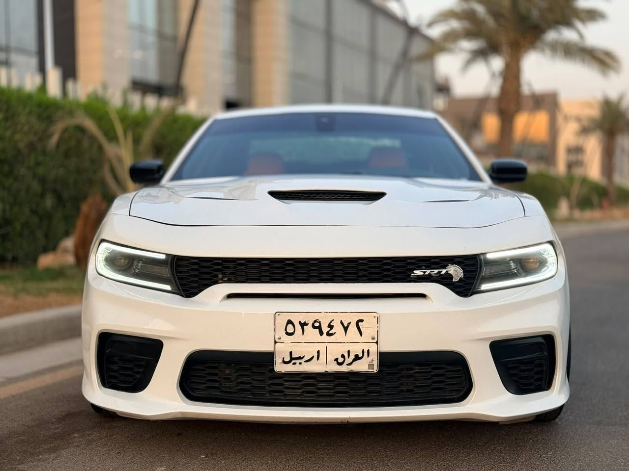 سلام عليكم
جارجر ٢٠١٧  Rt محرك ٥٧٠٠
رقم اربيل شرط تحويل 
بيها صبغ قطعتين 
وبيها بصندوك جزء صبغ شي بسيط مال فابلون
لباقي مكفول
سياره فول عده سلايد
شاشه جبيره كامره دواره 
كار بلي اندرويد اوتو
كشنات جلد برتقالي. كشنات كهرباء
تدفئه تبريد كشنات
ويل كب نجمه حجم ٢٠
مري قلاب 
هيترات بلمري
لايت زنون 
سياره جاهزه للاخير 
بدون اي نواقص صدر تخم تاير تبريد كله جديد
مكاني بغداد الدوره 
عارضها ب ١٧٢ وبيها مجال
***********
