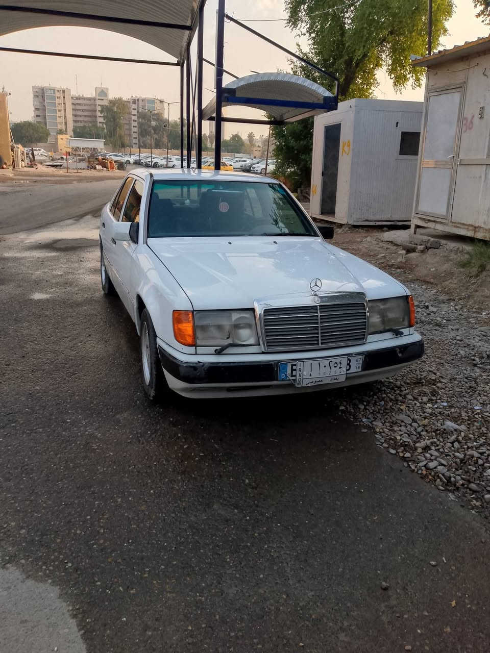 بغداد ***********شعب

