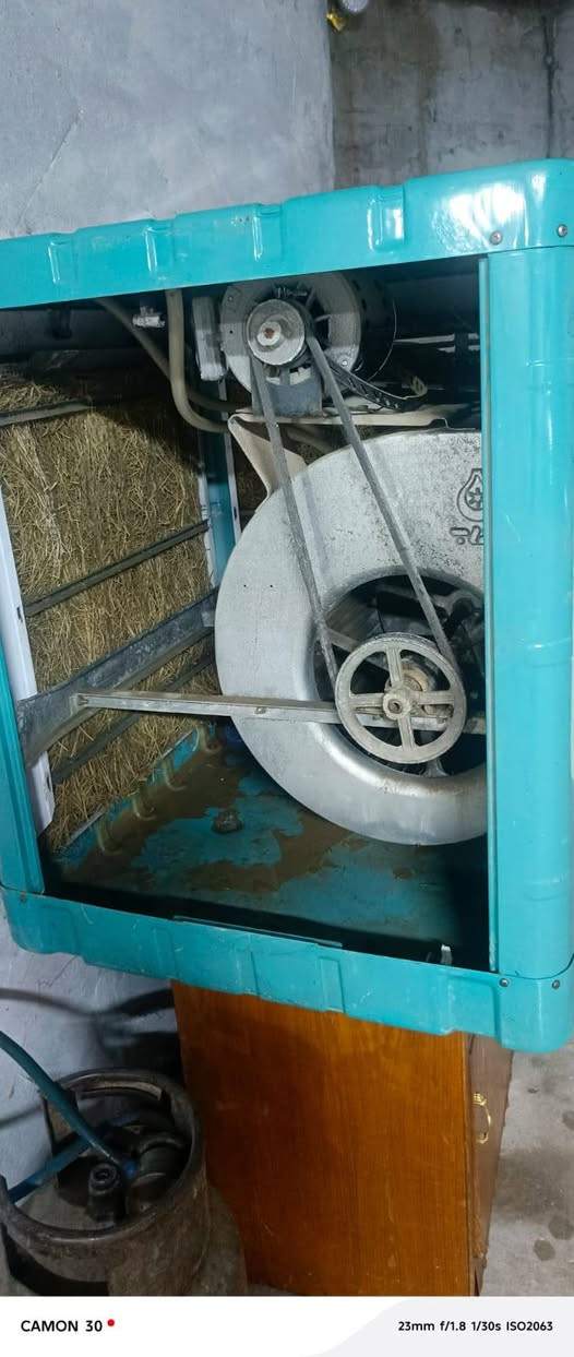 كنب • بدون تفاصيل • كامون 30