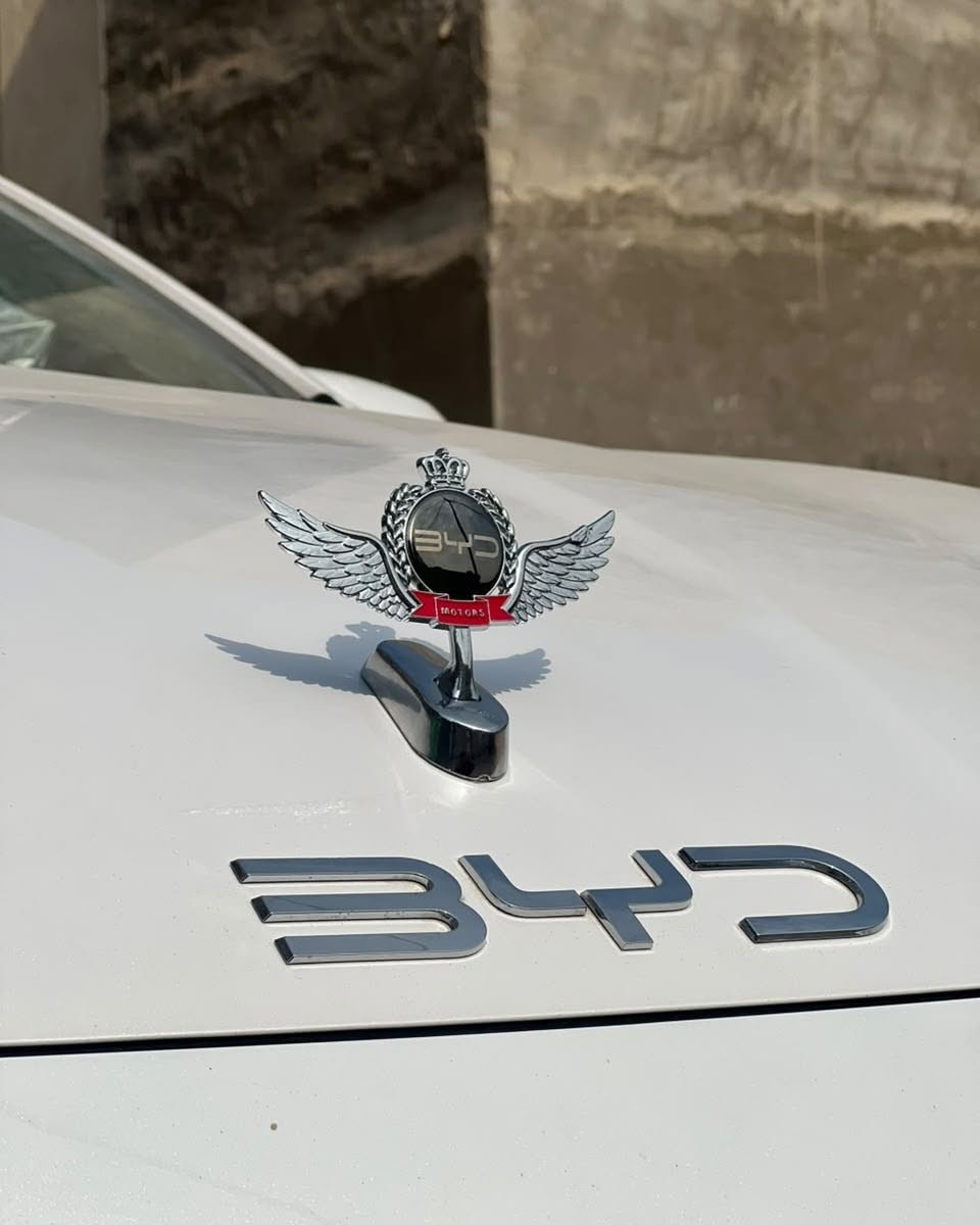 شعار BYD ملكي • سهل التركيب • توصيل لجميع المحافظات