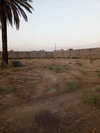أرض زراعية • ١٢٥٠م • بداية مدخل ٣