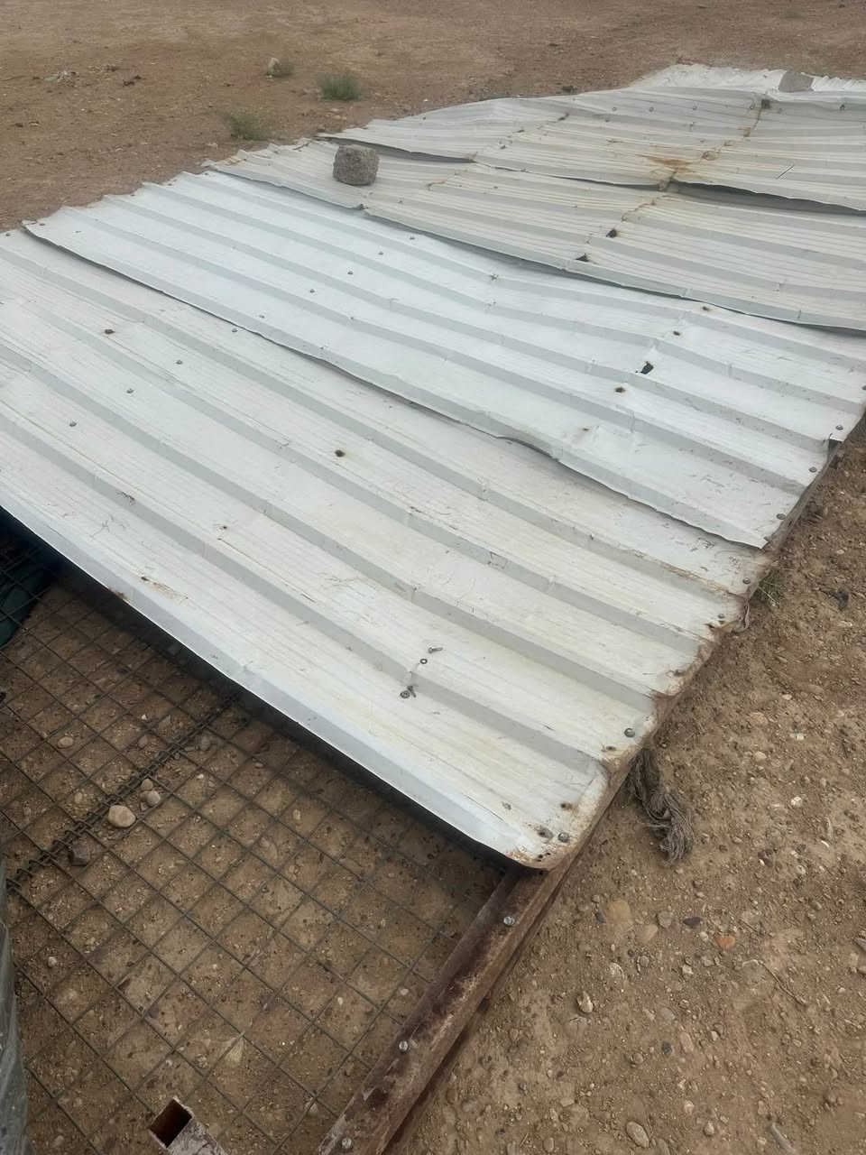 بصيطه مخضر • تفلشت • ٦م×٣م