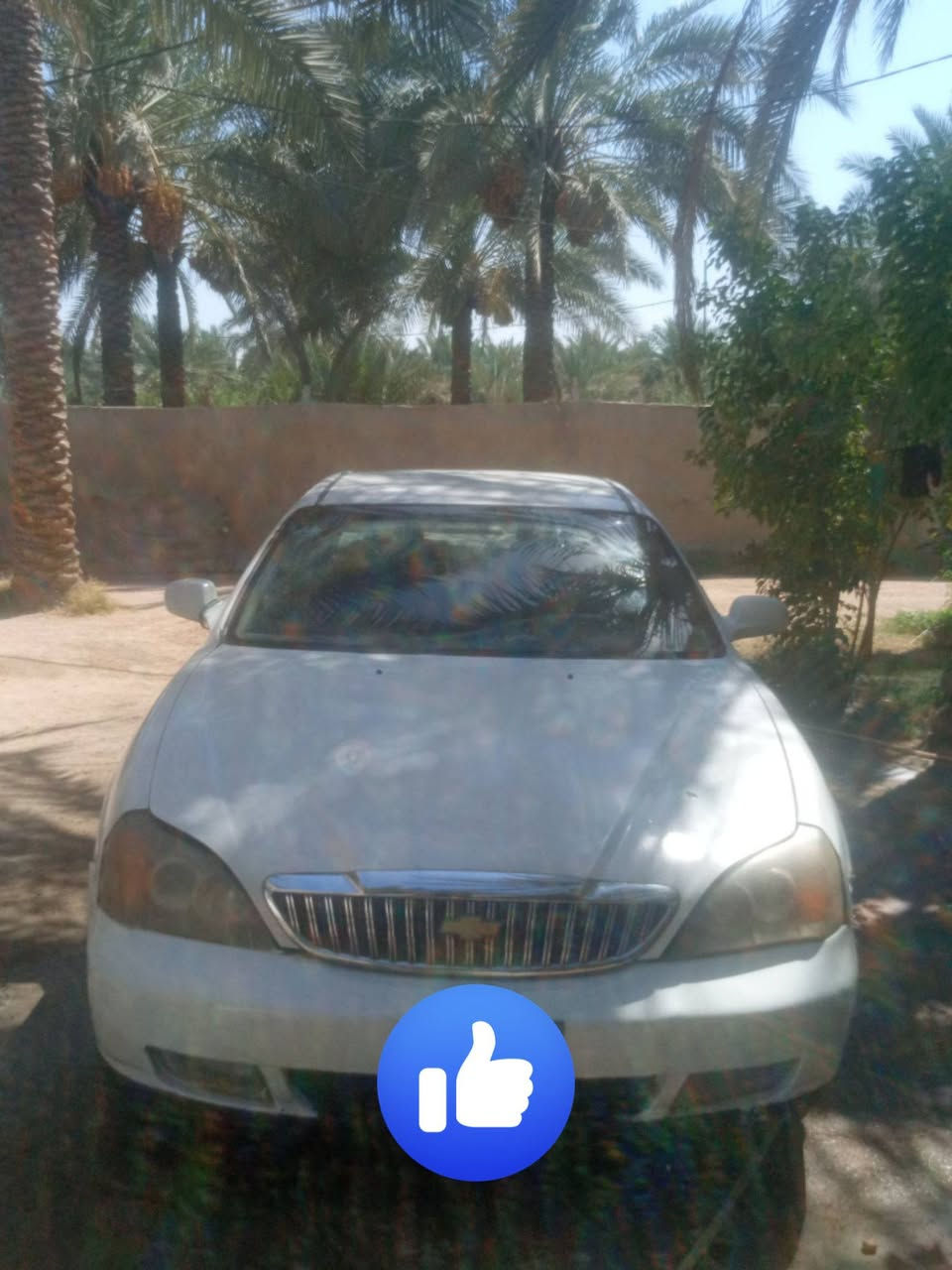 سلام عليكم سياره فورت أمريكي راعيه موجود رقمه احمر بابل عوزه دجات مال مكينه  مكان كربلاء حسينيه  هاذه رقمي الاستفسار  ***********    سعر 25  بيه مجال
