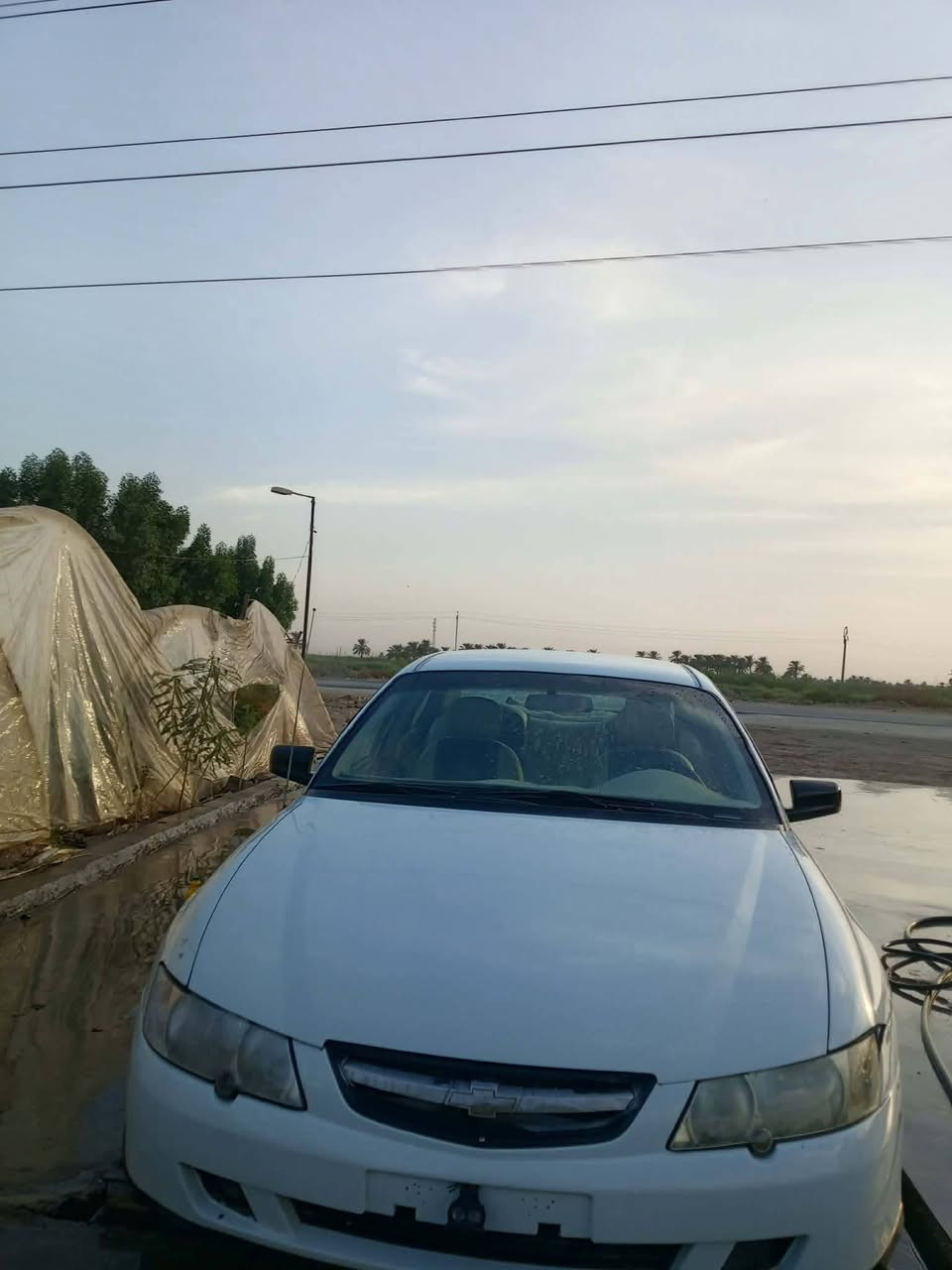لومينا • ٢٠٠٤ • رقم ديالى