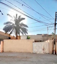 حي العسكري كربلاء • ٢٥٠م • طابو
