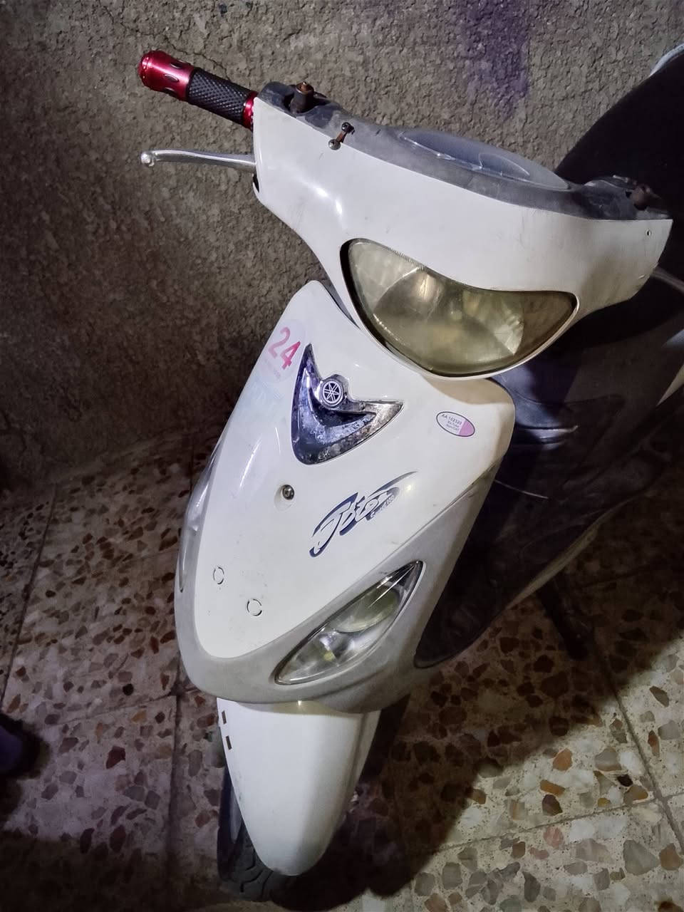 ماكس • ٤٩ • بلادي