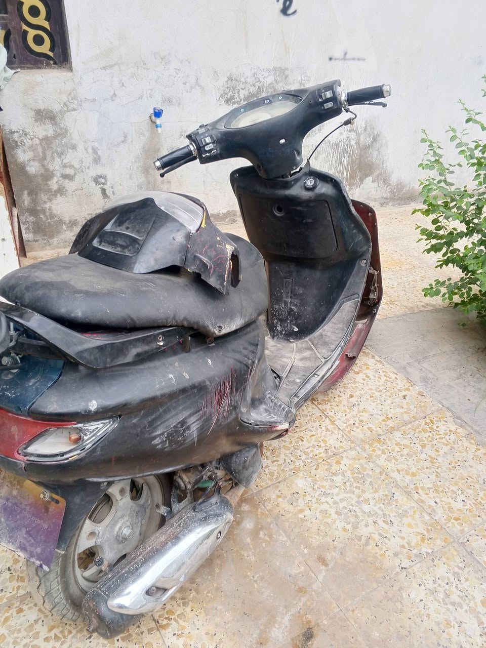 فراشه • فحل • مكينه جديده