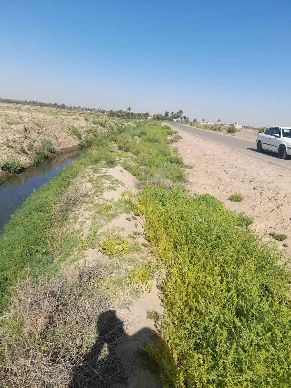 الحمزه الشرقي • ١٥ دونم • أرض زراعية