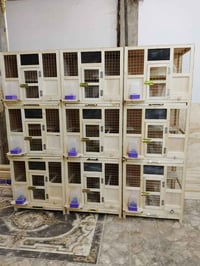 نجف كوفة • ارتفاع ٢م • عرض ٧٠سم