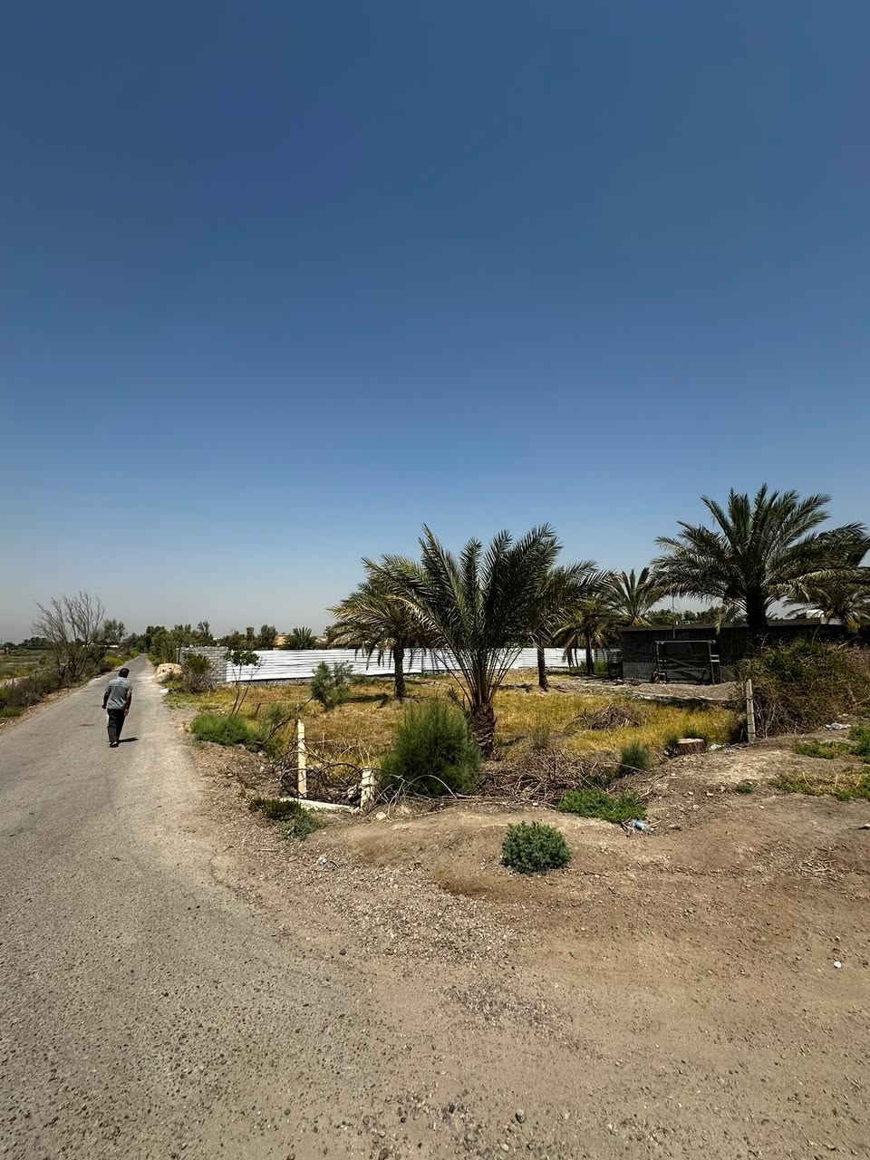 قطعه ارض زرعي ركن 
المساحه 550 متر 
الوجهة 22 متر 
النزال25 متر 
السويب بعدسيطره  معمل الثلج اول نزله على جه اليمين. تبعد عن الشارع العام ٤٠٠ متر. 
*********** وتساب
