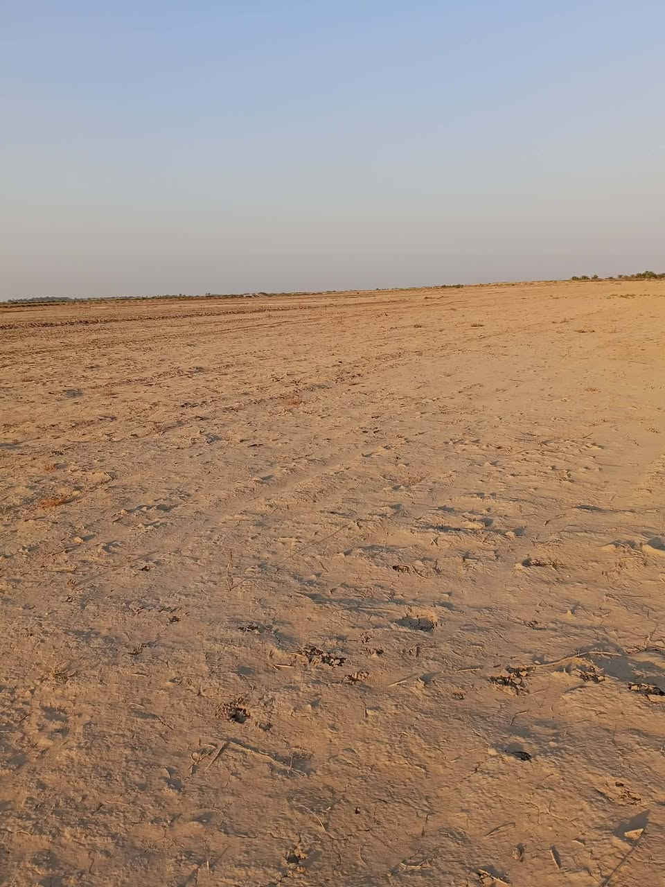 ارض زراعيه للبيع او الضمان ٧٠ دونم قرب معمل طابوق الرفاعي الارض مستصلحه + متوفر ماء 
***********

