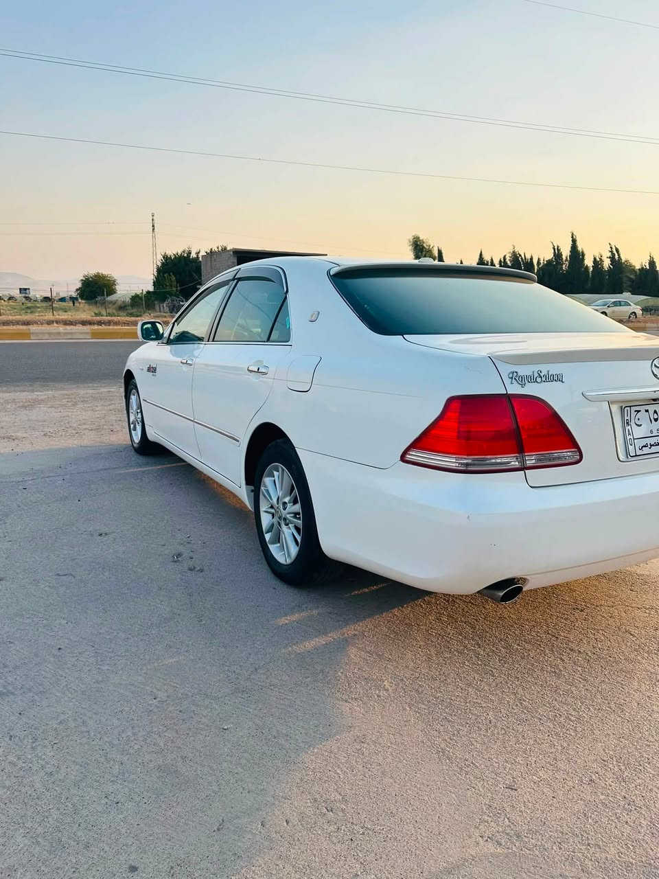 شاهينة 
بؤ فرؤشتن
موس
٢٠٠٥
كئرو مةكينة كةورة
دوو دوكمة 
ناور سةرد
 دوو بارجةى بؤياخة 
بئ دووكةل
كامل مةسروف
بئ تةقةو رةقة 
سةقفى وةك شوشة واية
***********
فايبةر وةتس ئابى لةسةرة 
ئةدمينى بةرئز
